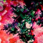 damage 221&ndash;240 photosets