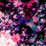 image: Image from the photoset &lsquo;damage (ccxxv)&rsquo;.