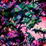 image: Image from the photoset &lsquo;damage (ccxxv)&rsquo;.