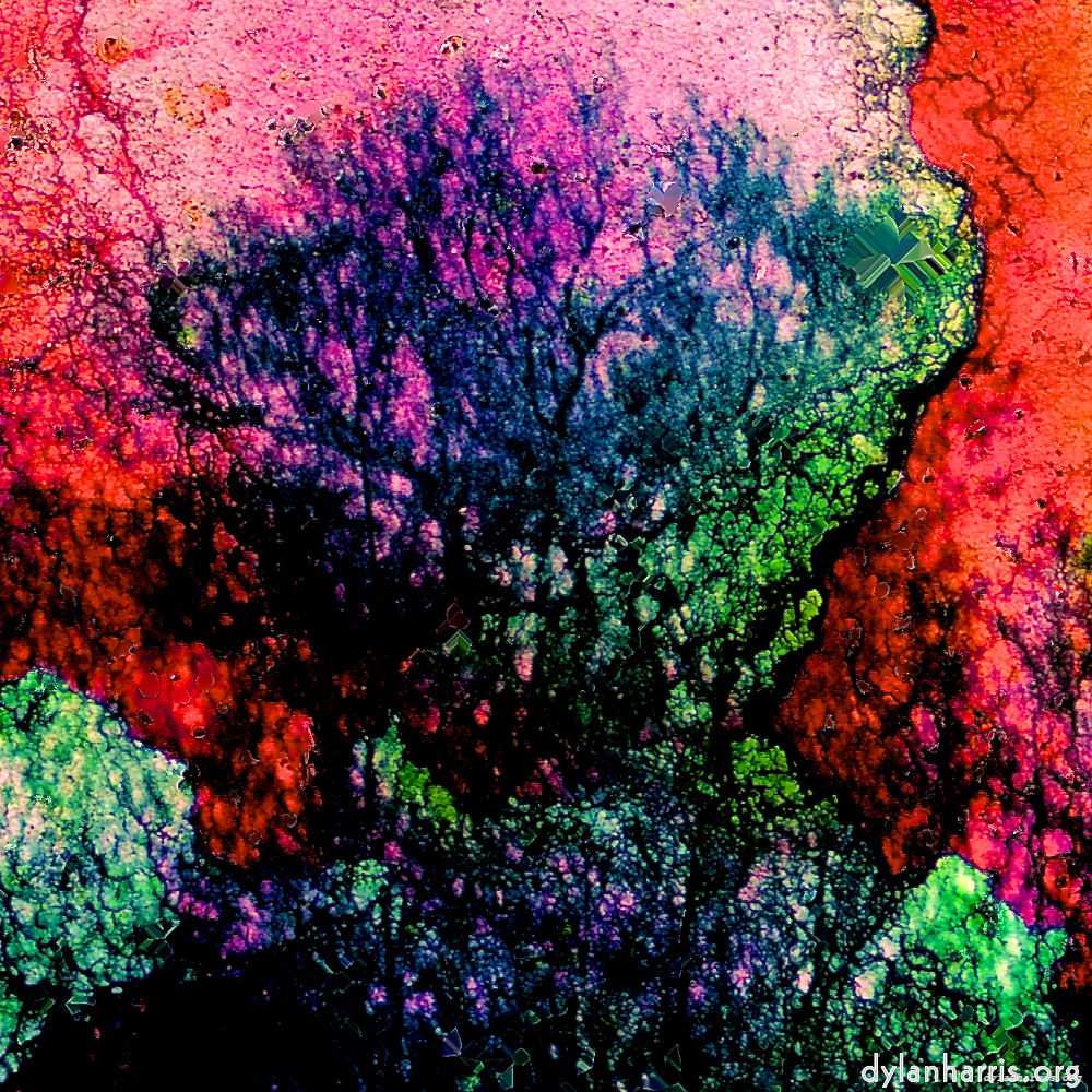 image: This is &lsquo;damage (ccxxvi) 4&rsquo;.