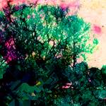 image: damage (ccxxvi) photoset