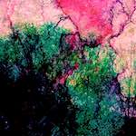 image: Image from the photoset &lsquo;damage (ccxxvi)&rsquo;.