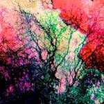 image: Image from the photoset &lsquo;damage (ccxxvi)&rsquo;.