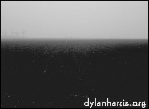 Image: Image 'holme fen 1'.