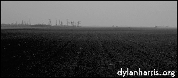 Image: Image 'holme fen 3'.