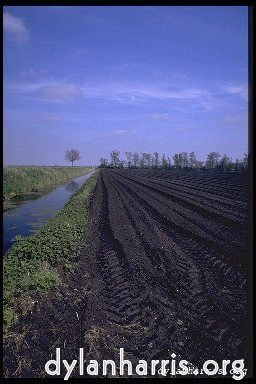 Image: Image 'holme fen 4'.