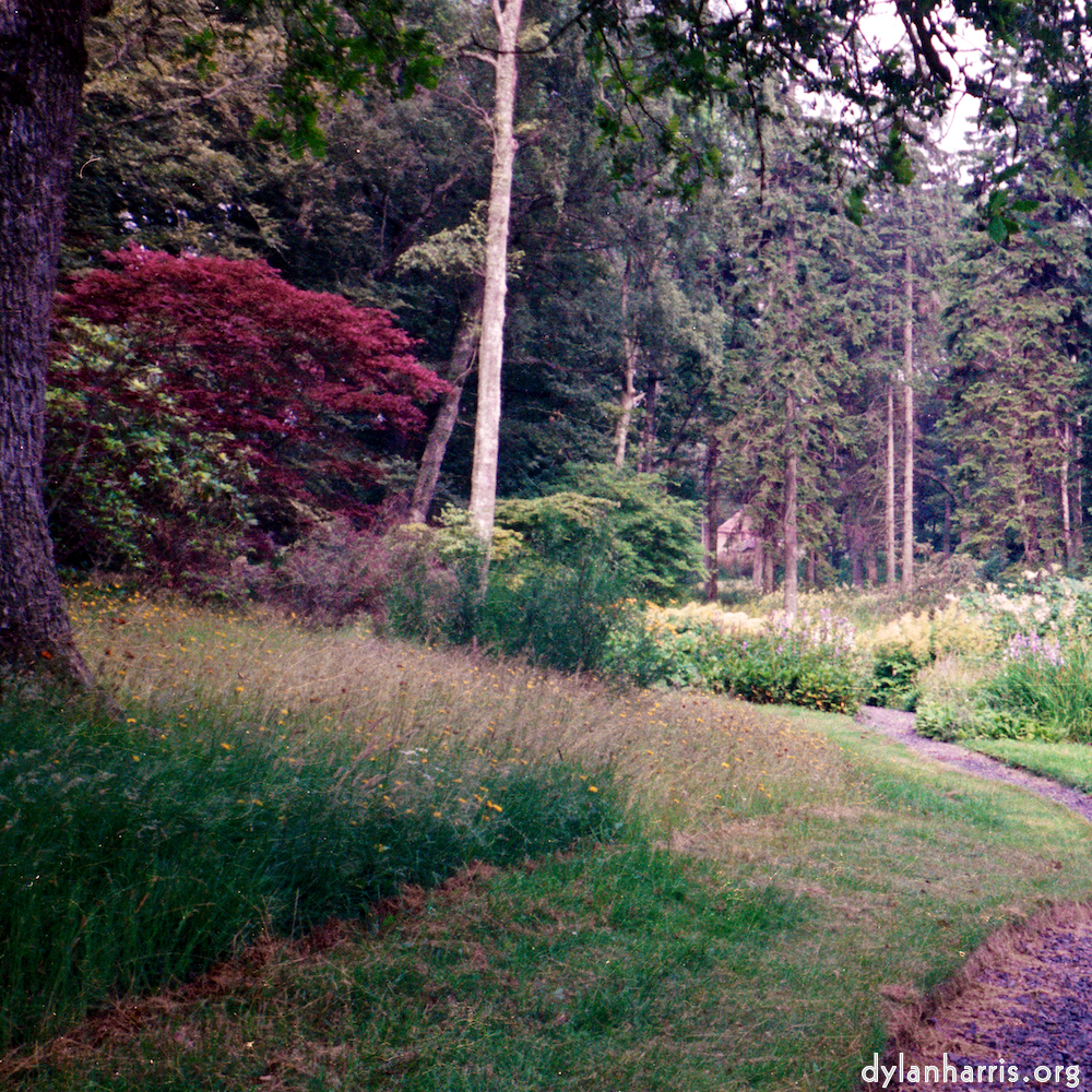 Image 'thames poly (vi) 1'.