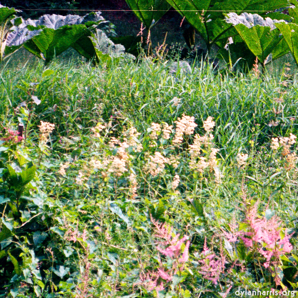 Image 'thames poly (vi) 3'.