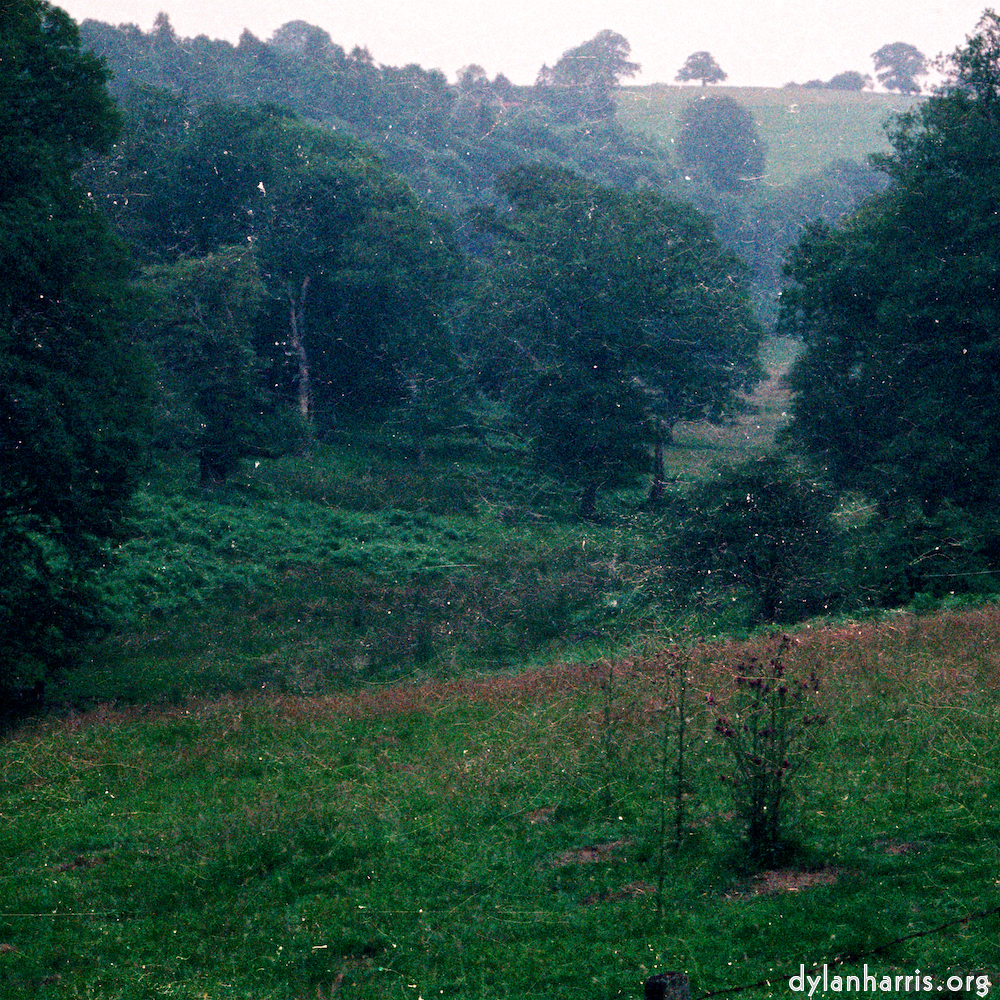 image: This is &lsquo;thames poly (vi) 9&rsquo;.