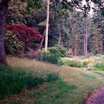 thames poly (vi) photoset