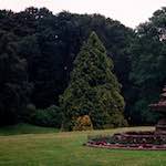 Second image from the photoset 'thames poly (vi)'.