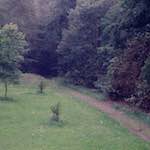 Fifth image from the photoset 'thames poly (vi)'.