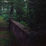 Seventh image from the photoset 'thames poly (vi)'.