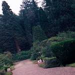 Eighth image from the photoset 'thames poly (vi)'.