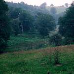 Ninth image from the photoset 'thames poly (vi)'.