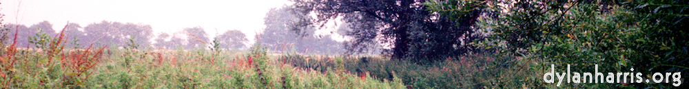 image: This is &lsquo;tempsford (i) 1&rsquo;.