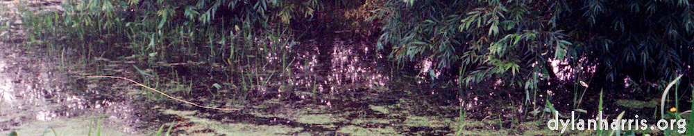 image: This is &lsquo;tempsford (i) 7&rsquo;.