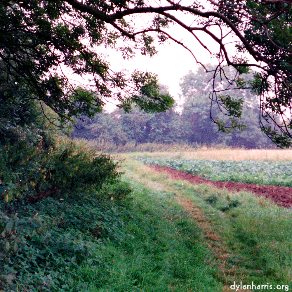 Image: Image 'tempsford (ii) 1'.