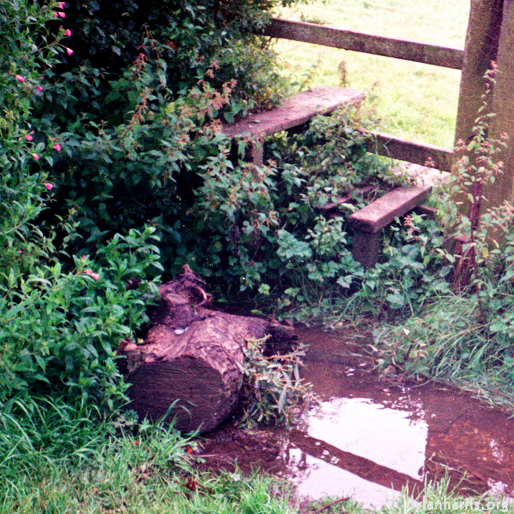 image: This is &lsquo;tempsford (ii) 2&rsquo;.