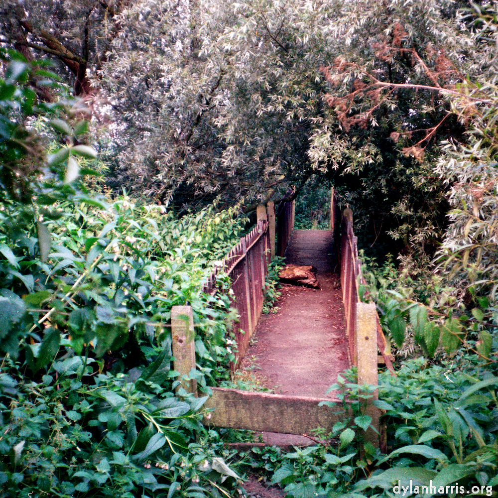 image: This is &lsquo;tempsford (ii) 5&rsquo;.