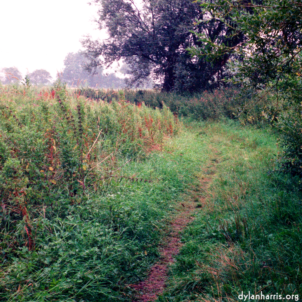 image: This is &lsquo;tempsford (ii) 8&rsquo;.