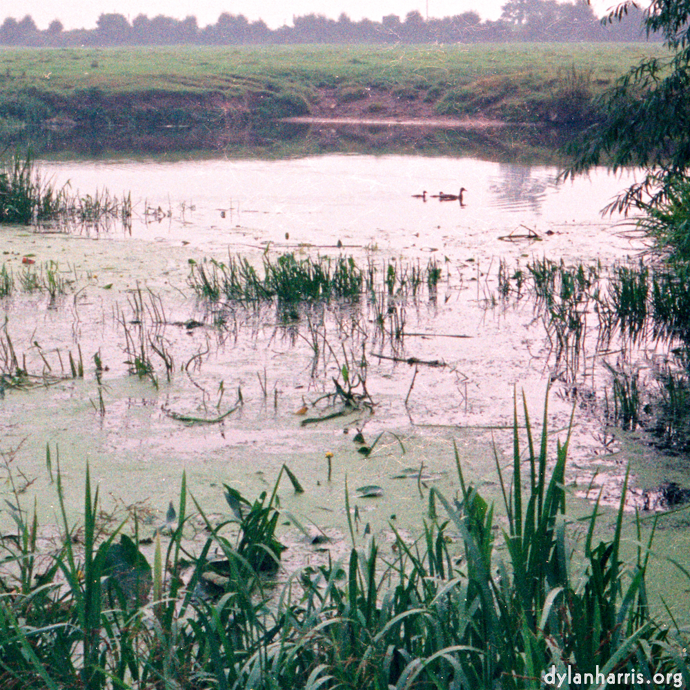 Image 'tempsford (ii) 9'.