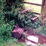 image: Image from the photoset &lsquo;tempsford (ii)&rsquo;.