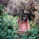 image: Image from the photoset &lsquo;tempsford (ii)&rsquo;.