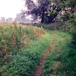 image: Image from the photoset &lsquo;tempsford (ii)&rsquo;.