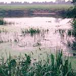 image: Image from the photoset &lsquo;tempsford (ii)&rsquo;.