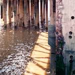 Third image from the photoset 'woolwich (iv)'.