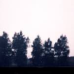 Fourth image from the photoset 'woolwich (iv)'.