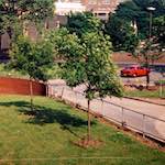 Fifth image from the photoset 'woolwich (i)'.