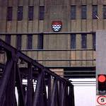 Third image from the photoset 'woolwich (v)'.