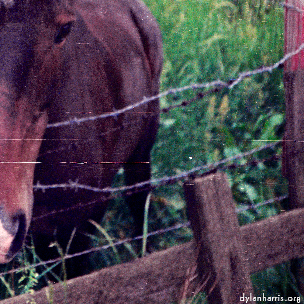 image: This is &lsquo;untitled (xxvi) 2&rsquo;.