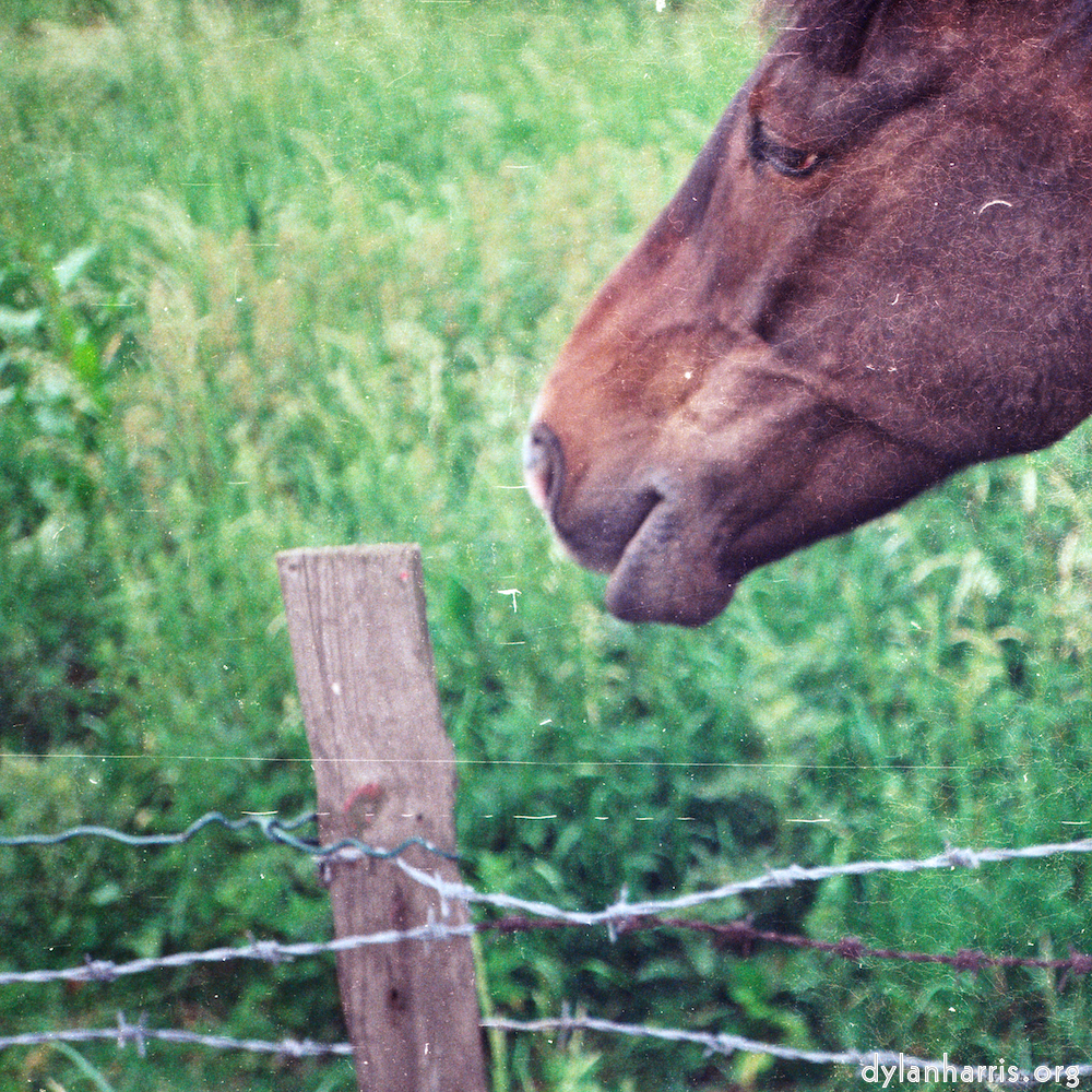 image: This is &lsquo;untitled (xxvi) 5&rsquo;.