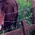 image: Image from the photoset &lsquo;untitled (xxvi)&rsquo;.