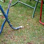 Fifth image from the photoset 'thames poly (vii)'.