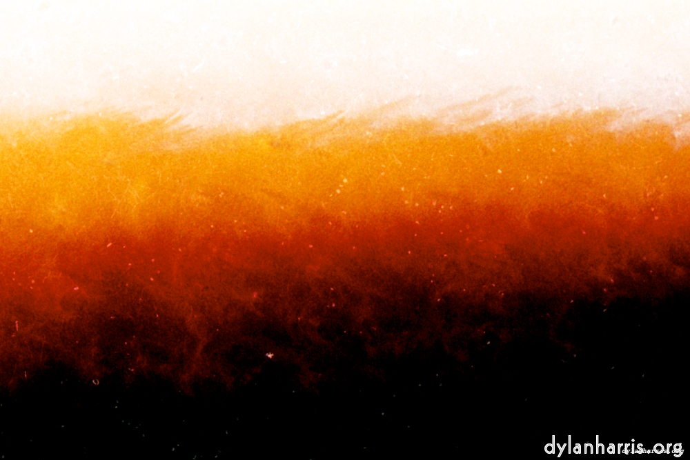 image: This is &lsquo;fire (ix) 2&rsquo;.