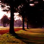 image: Image from the photoset &lsquo;untitled (xxxiv)&rsquo;.