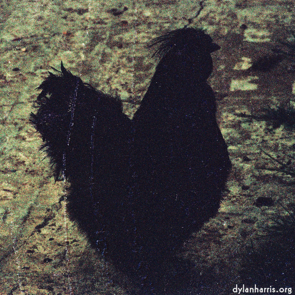 Image: Image 'untitled (xxxv) 2'.