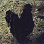 Image: Second image from the photoset 'untitled (xxxv)'.