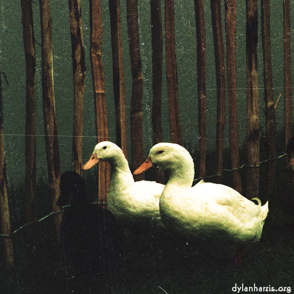 Image: Image 'untitled (xxxvi) 1'.