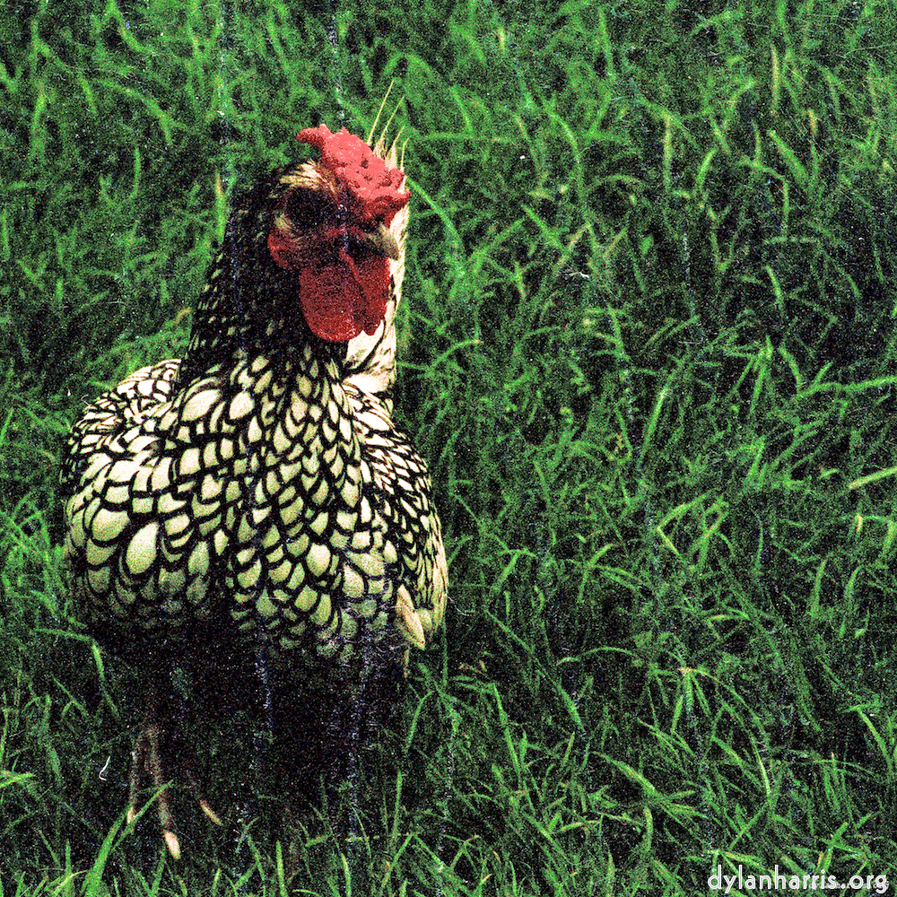 Image: Image 'untitled (xxxvi) 2'.