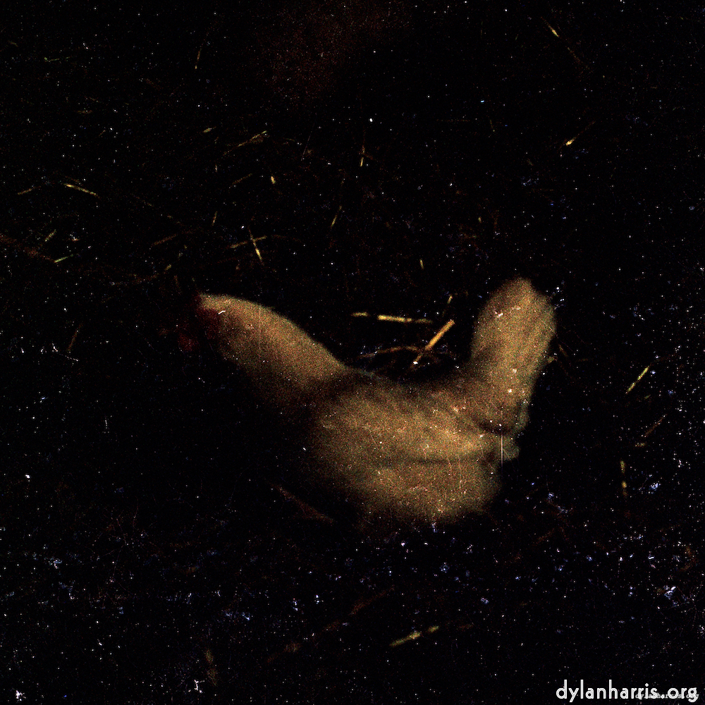 image: This is &lsquo;untitled (xxxvi) 3&rsquo;.