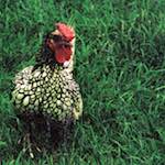 image: Image from the photoset &lsquo;untitled (xxxvi)&rsquo;.