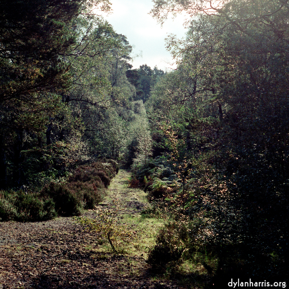 Image 'highlands (xiv) 3'.