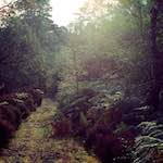 First image from the photoset 'highlands (xiv)'.