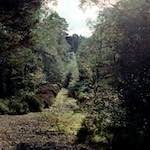 Third image from the photoset 'highlands (xiv)'.