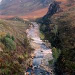 Second image from the photoset 'highlands (xv)'.